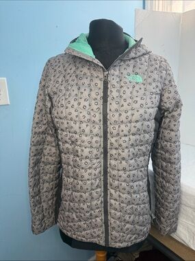 The North Face Women's Gray Puffer Jacket with Mint Interior